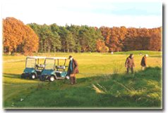 Golfen - das pure Freizeitvergn�gen